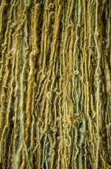 multicolored woolen threads photographed by close-up.