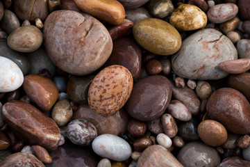Pebbles on Budleigh Salterton Beach, UK