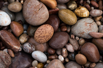 Fototapeta na wymiar Pebbles on Budleigh Salterton Beach, UK