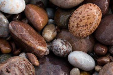 Fototapeta na wymiar Pebbles on Budleigh Salterton Beach, UK
