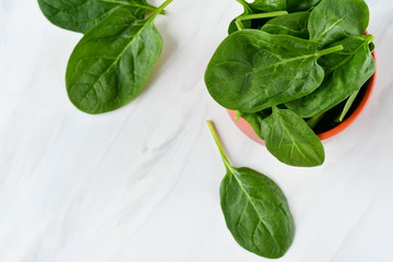 leaves of organic spinach in a terracotta ceramic plate. light background, selective focus, copy space, healthy food concept, vitamins