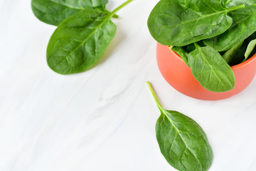 leaves of organic spinach in a terracotta ceramic plate. light background, selective focus, copy...