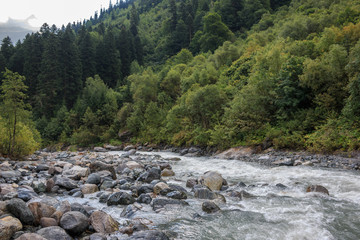 Fototapeta na wymiar Closeup view river scene in forest, national park of Dombay, Caucasus, Russia