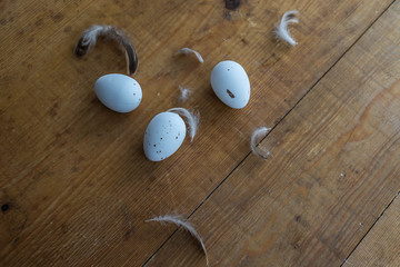 white easter eggs with feathers