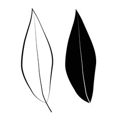 Leaves. Vector illustration, isolated on a white.