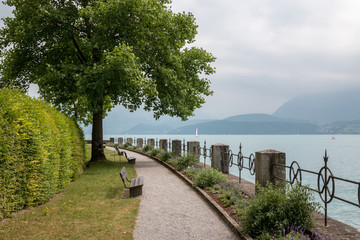 A walk in the park, around flowers, green trees and lake Thun