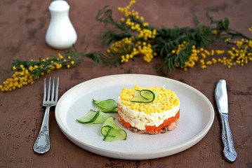 Traditional Russian salad Mimosa with boiled pink salmon, carrots, onions and eggs on a brown concrete background. Served on ceramic plates, decorated with sliced fresh cucumber