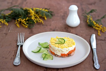 Traditional Russian salad Mimosa with boiled pink salmon, carrots, onions and eggs on a brown concrete background. Served on ceramic plates, decorated with sliced fresh cucumber