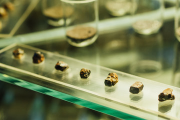 Stones and minerals in glass cabinets