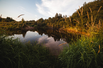 River landscape in summer