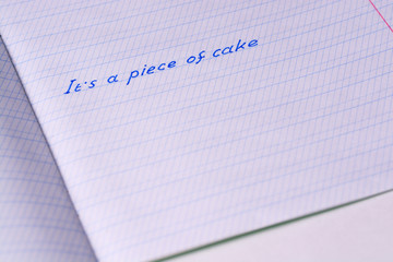 School notebook for writing. Written phrase 