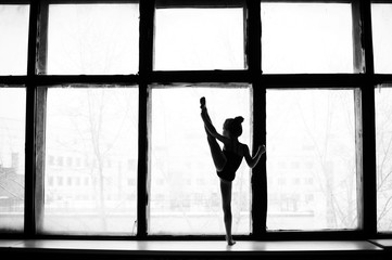 Fototapeta na wymiar Little girl gymnast, performs various gymnastic and fitness exercises.