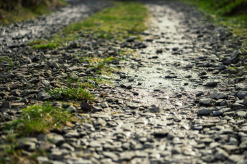 A close up of rugged stone path terrain