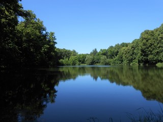 Lake in the forest in summer clear day with reflections.