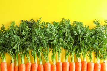 Ripe carrots on yellow background, space for text
