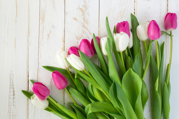 Pink and white tulips on white wooden background with copy space for card