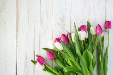 Pink and white tulips on white wooden background with copy space for card