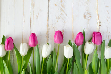 Pink and white tulips on white wooden background with copy space for card