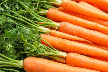 Ripe fresh carrots as background, space for text