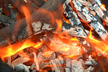 Fire. Hot coals in the fire. Concept view.