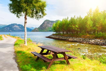 Picnic site wooden table under the tree on the shore of fjord in Norway