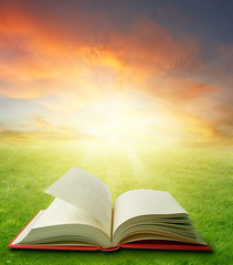 Open book in green field and sunny sky