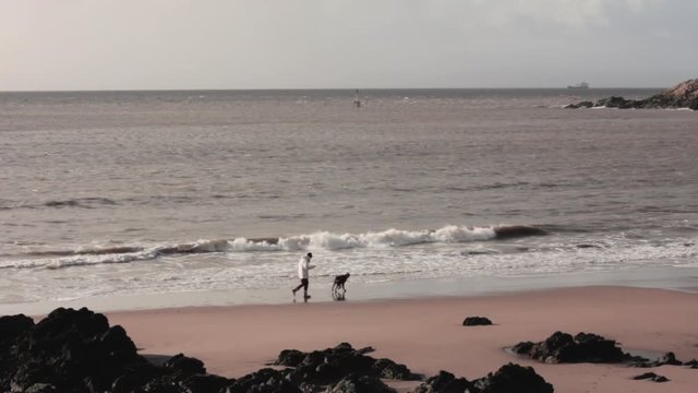 Dog walker walking along beach on winters monring