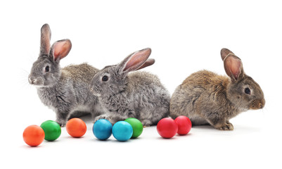 Rabbits and Easter eggs.