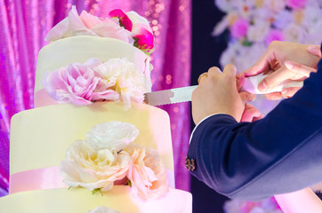 Bride and groom slicing wedding 
