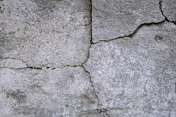 white brick wall