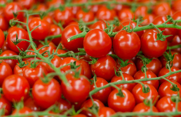 Close-up detail of cherry tomatoes 