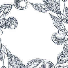Cherry set. Hand drawn berry isolated on white background. Summer fruit engraved style illustration. Great for label, poster, print.