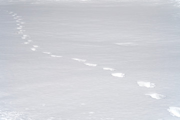 footprint in snow as nature background