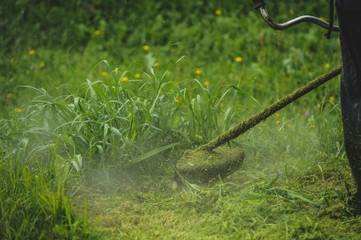 Grass trimmer cutting grass