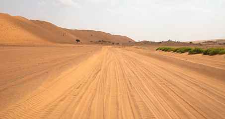 Fototapeta na wymiar Durch die Wüste