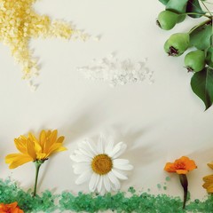 Decorative composition - the sun and the earth from sea salt, clouds, fresh flowers and white petals on a light background, top view, the concept of summer nature, pattern, seasonal