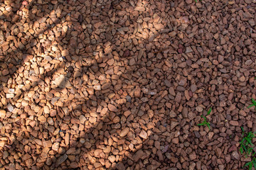 Decorative gravel ground cover.