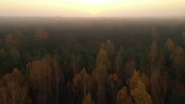 Cepkeliai reserve, the largest area of untouched nature in Lithuania, is a glorious wet wilderness of bogs, black alder swamps, Cladinoso-callunosa forest and lakes