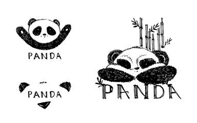 Hand drawn panda with bamboo. Graphic illustration isolated on white. Panda Logo Design Inspiration.