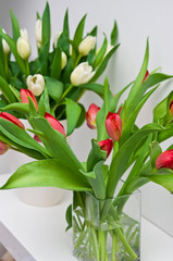 Fresh tulips on a white shelf home decoration