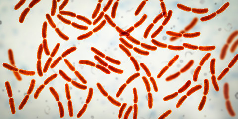 Bacteria Lactobacillus, 3D illustration. Normal flora of small intestine, lactic acid bacteria. Probiotic bacterium