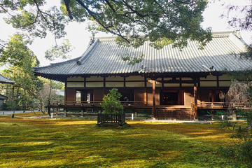 Fototapeta na wymiar a japanese house in a park