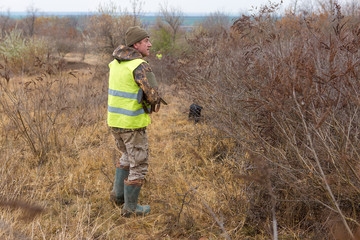 Hunters with a german drathaar and spaniel, pigeon hunting with dogs in reflective vests	