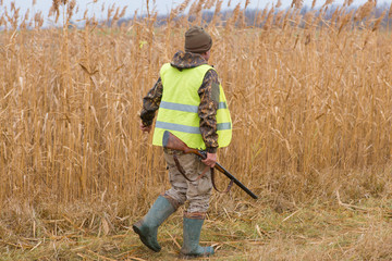 Hunters with a german drathaar and spaniel, pigeon hunting with dogs in reflective vests	