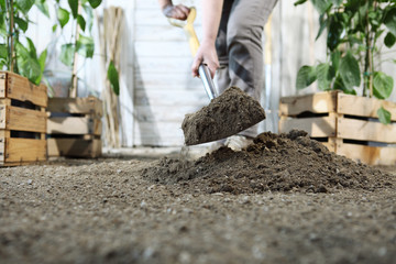 woman plant in the vegetable garden, work by digging spring soil with shovel, near wooden boxes full of green plants, closeup