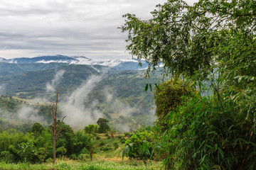 Fototapeta na wymiar Fog and cloud mountain valley landscape, Thailand