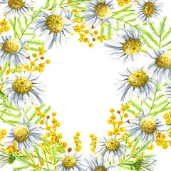 Spring hand drawn watercolor camomile daisy and mimosa round frame