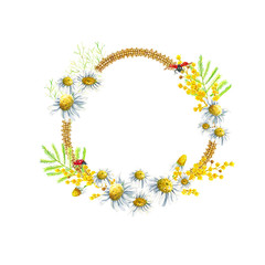 Spring hand drawn watercolor camomile daisy and mimosa round frame