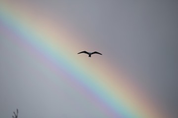 Arc en Ciel
