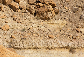 mountain goat in the mountains of the desert of the Negev